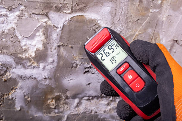 Best Mold Damage Repair  in Oak Hills, OR