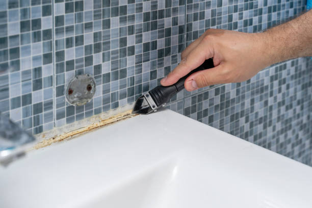 Best Fast Mold Removal  in Oak Hills, OR