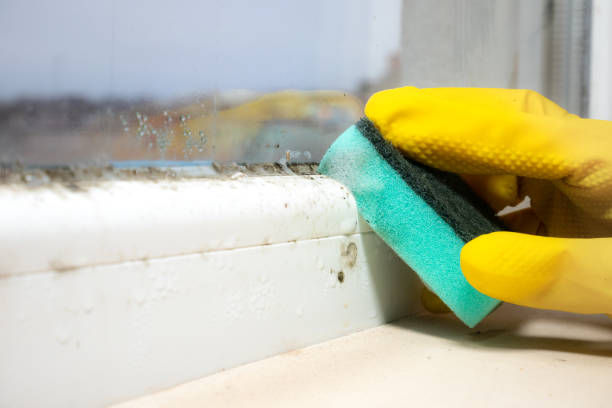 Best Residential Mold Removal  in Oak Hills, OR