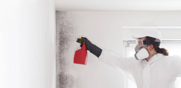 Office Mold Removal Services in Oak Hills, OR