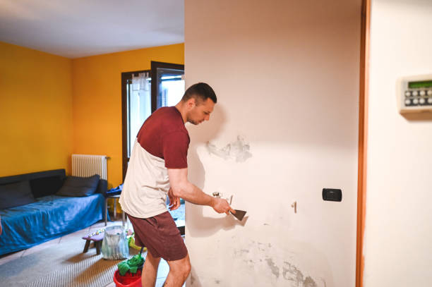 Professional Mold Removal in Oak Hills, OR
