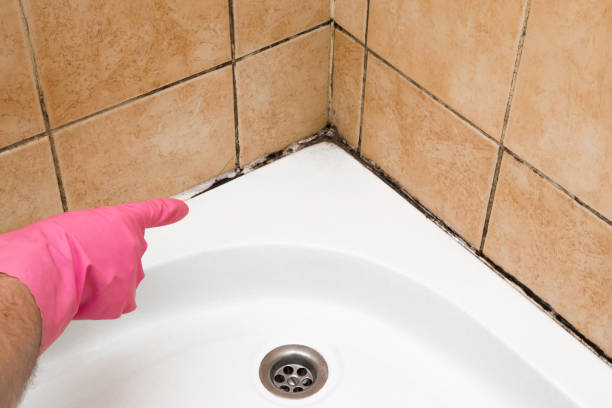 Mold Testing and Removal in Oak Hills, OR